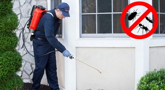 Gürgentepe Dezenfeksiyon böcek ilaçlama ve haşere kontrolü — ilaclama-tr.com